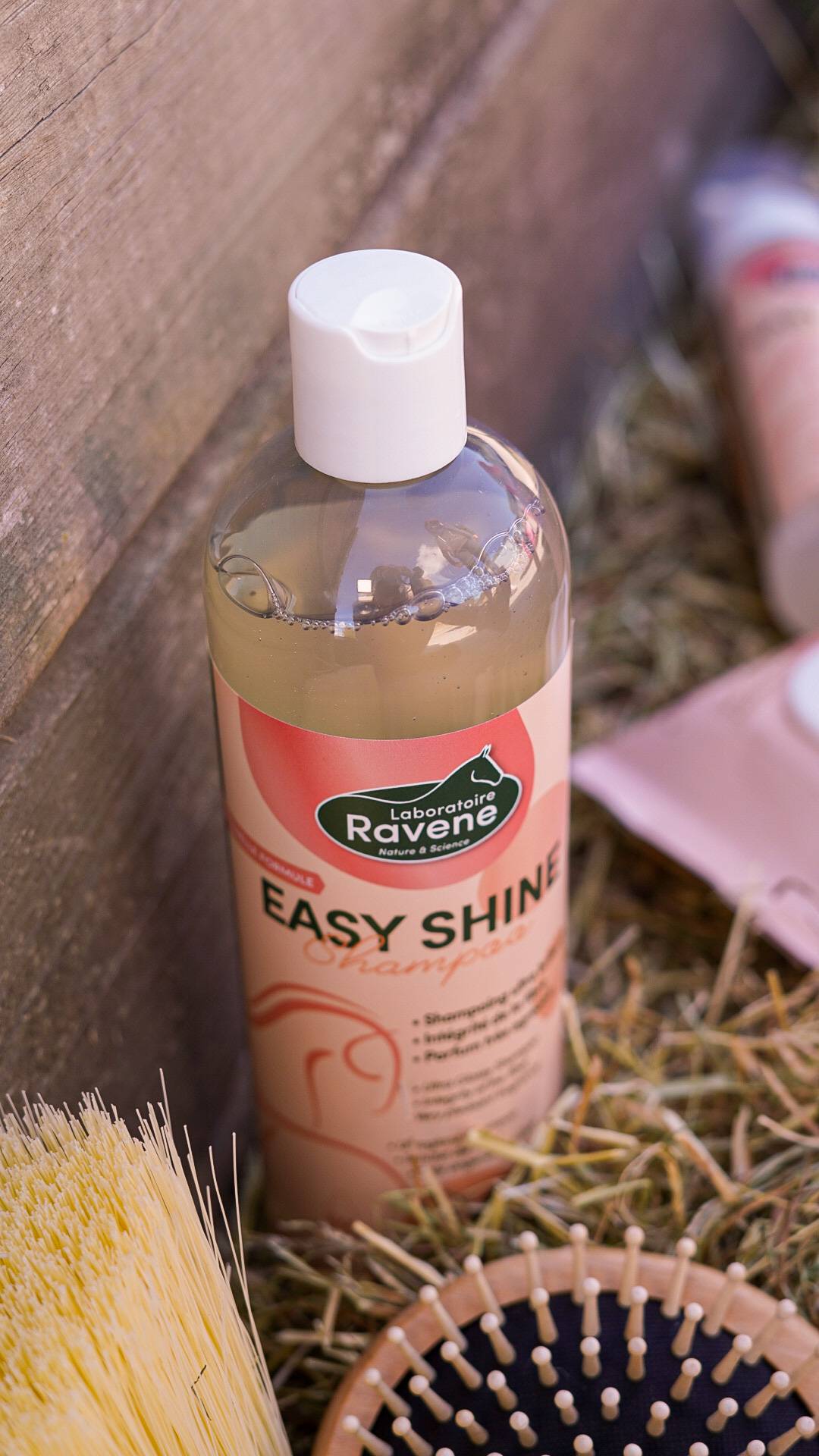 Shampoing Easy Shine - Ravene