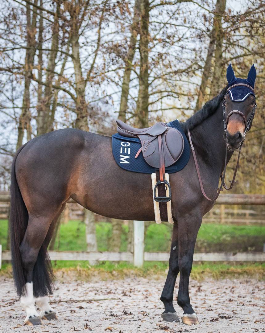 TEN Marine saddle pad - GEM