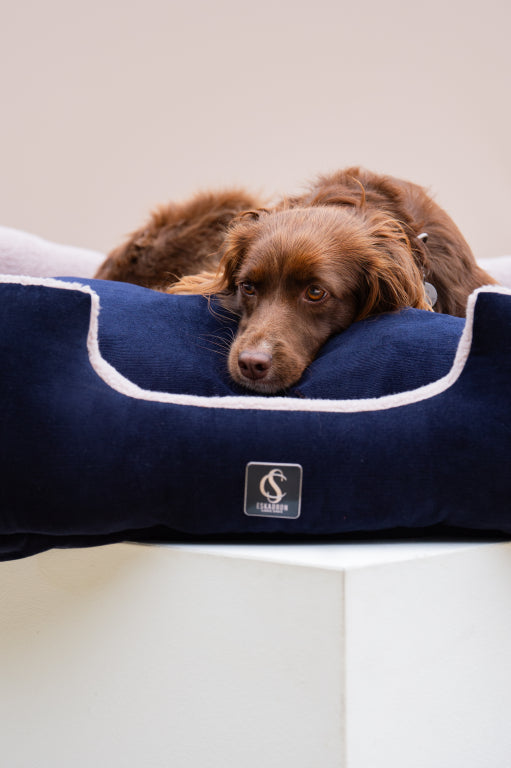 Cord Classic Sports dog bed 2024 - Eskadron