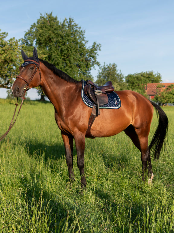 Tapis de selle Windsor - TOMMY HILFIGER