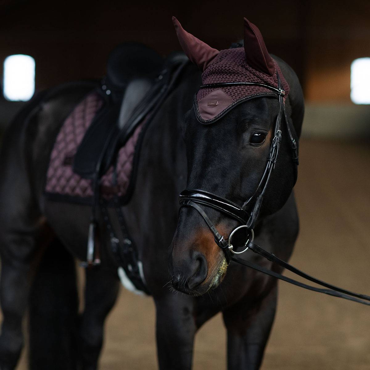 Endless Glow fly cap - Equestrian Stockholm