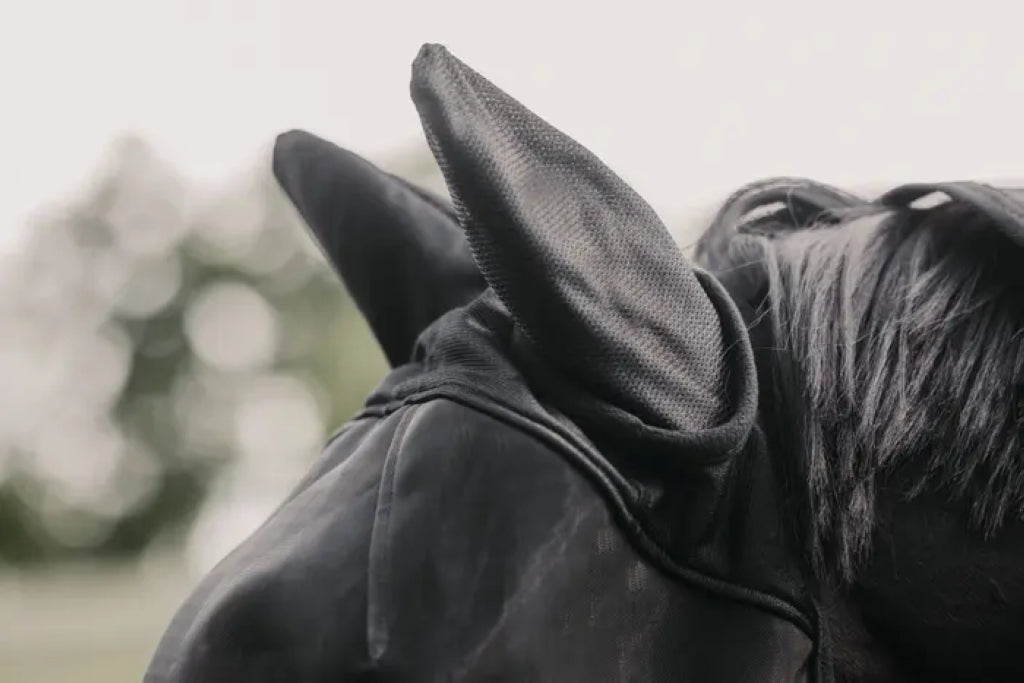 Classic Fly Mask - Kentucky