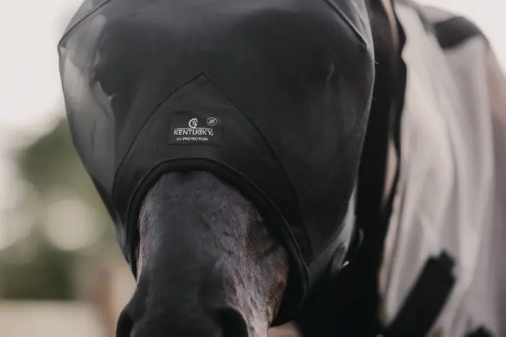 Classic Fly Mask - Kentucky