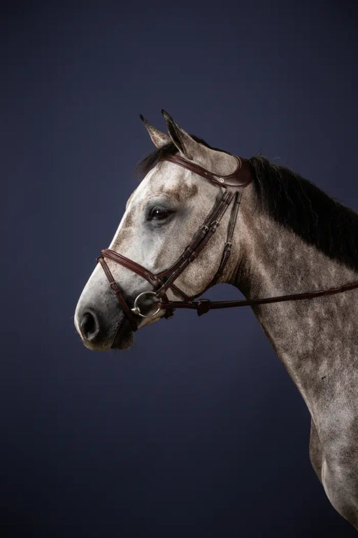 Difference Bridle - Dy&