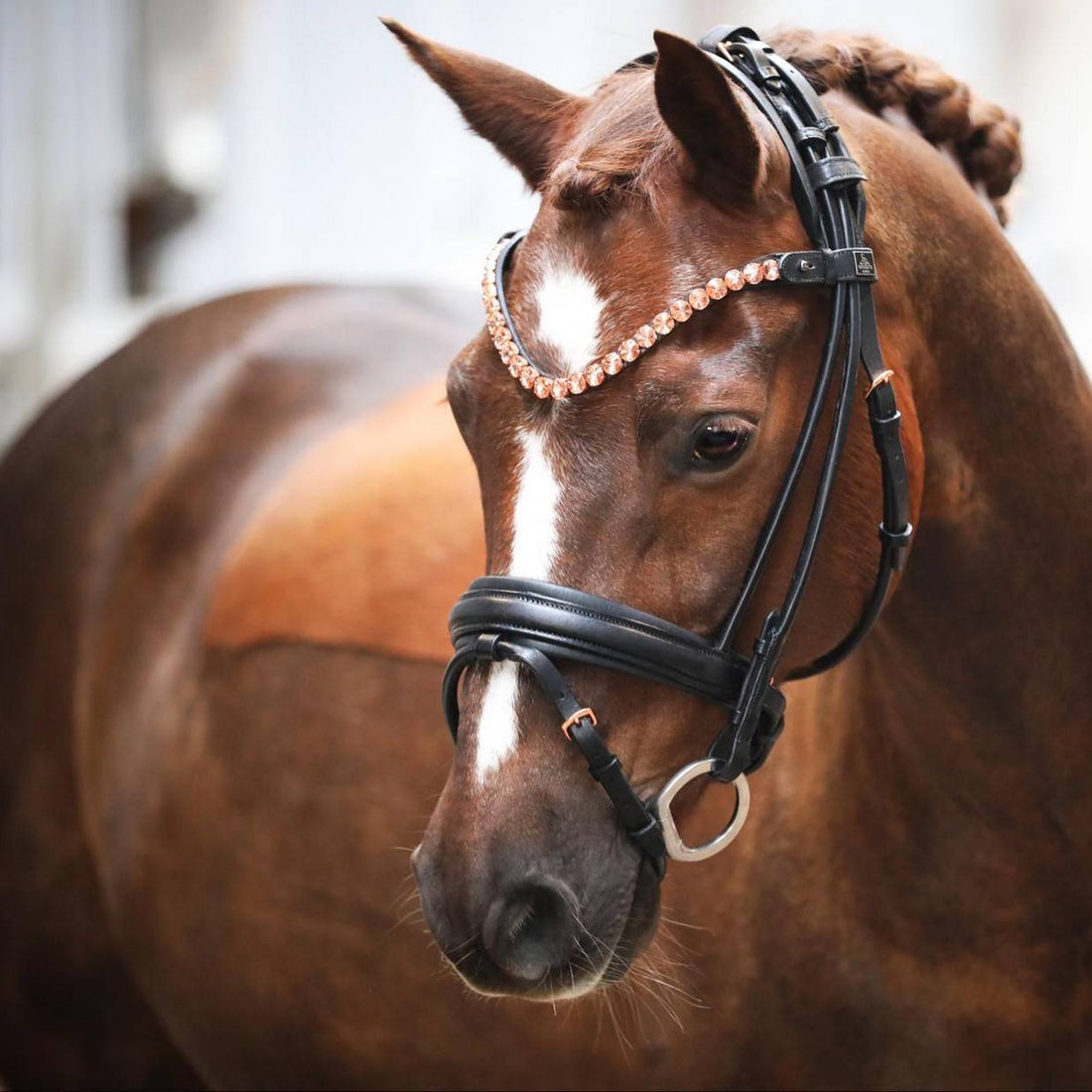 FLEUR round black leather bridle - SD Design