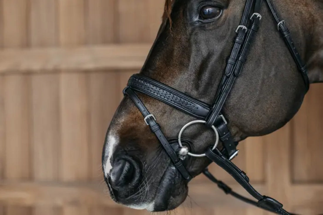 Pull Back braided combined noseband bridle - Dy&