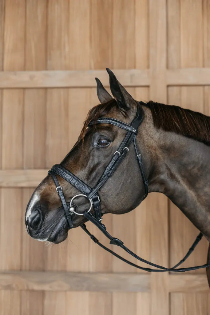 Pull Back braided combined noseband bridle - Dy&