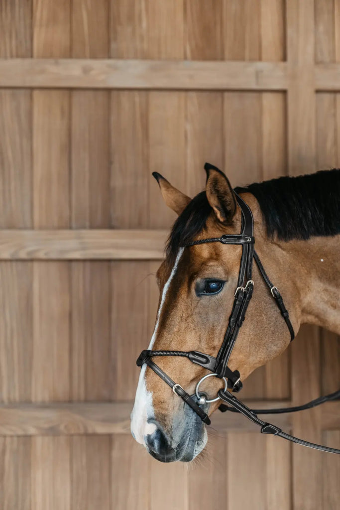 Round braided combined noseband bridle - Dy&