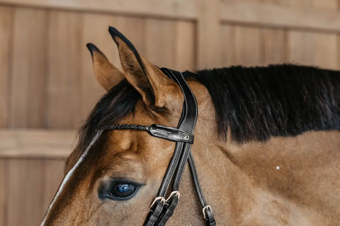 Round braided combined noseband bridle - Dy&