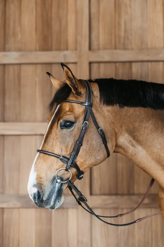 Round leather bridle - Dy&