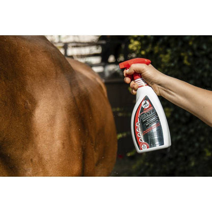 Power Phaser repellent spray - LEOVET