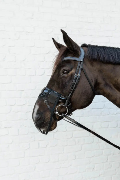 Anti-fly nose mask - Kentucky