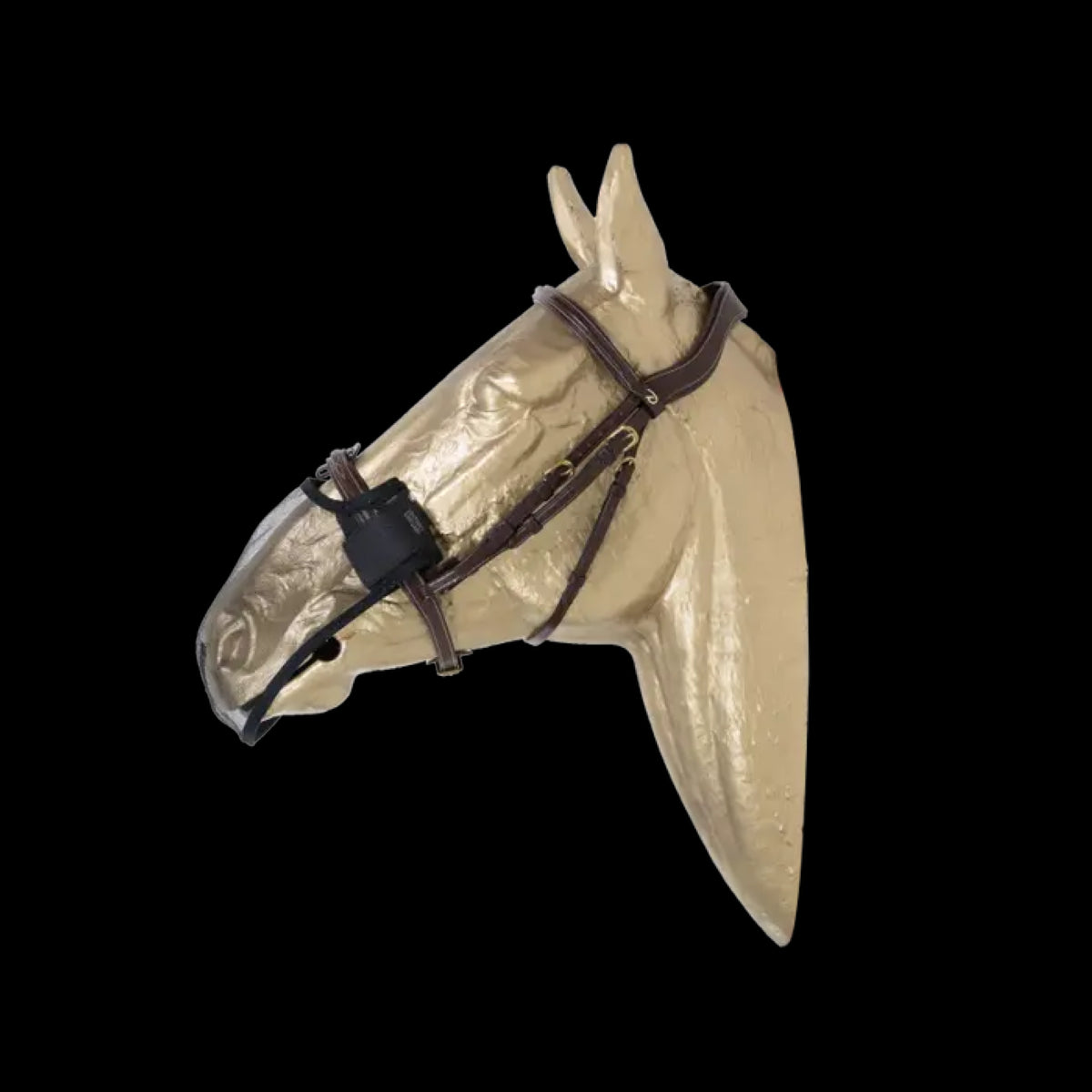 Anti-fly nose mask - Kentucky