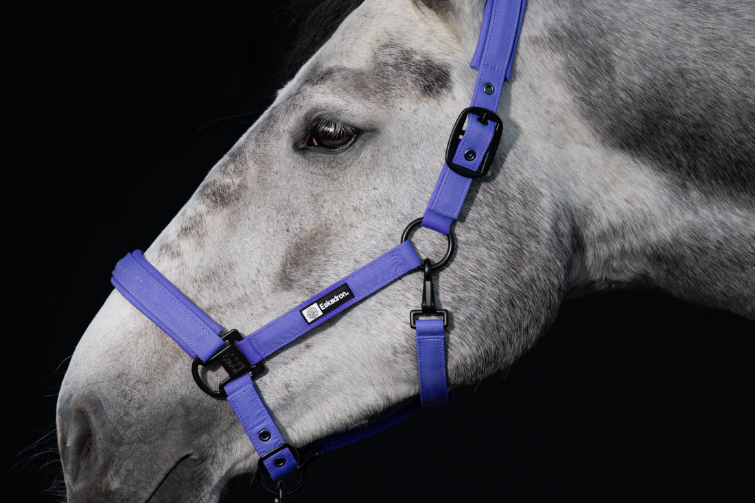 Sparkle Double Pin Dynamic Halter 2024 - Eskadron