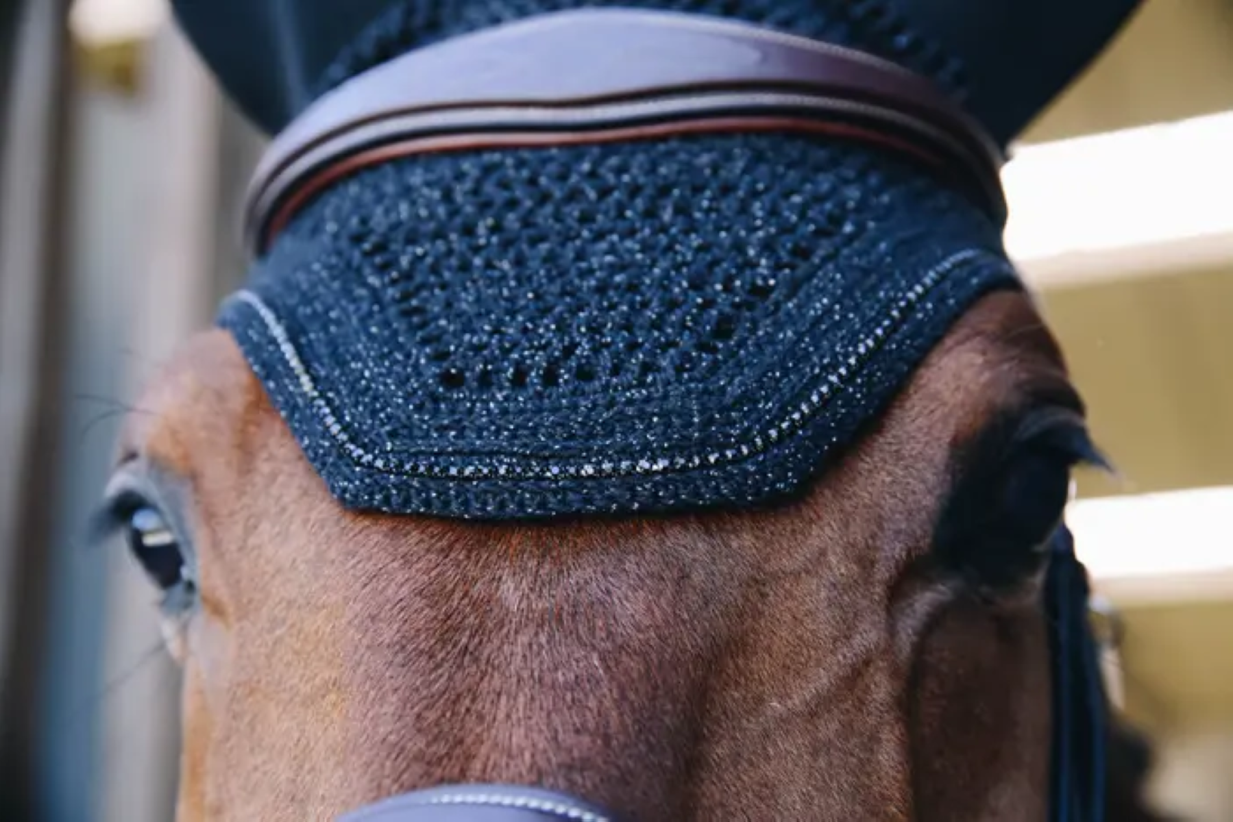 Bonnet anti-bruit Wellington Sparkling - Kentucky
