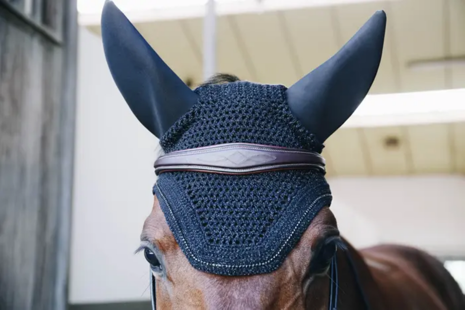 Bonnet anti-bruit Wellington Sparkling - Kentucky