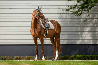 Corduroy saddle pad - Dy&