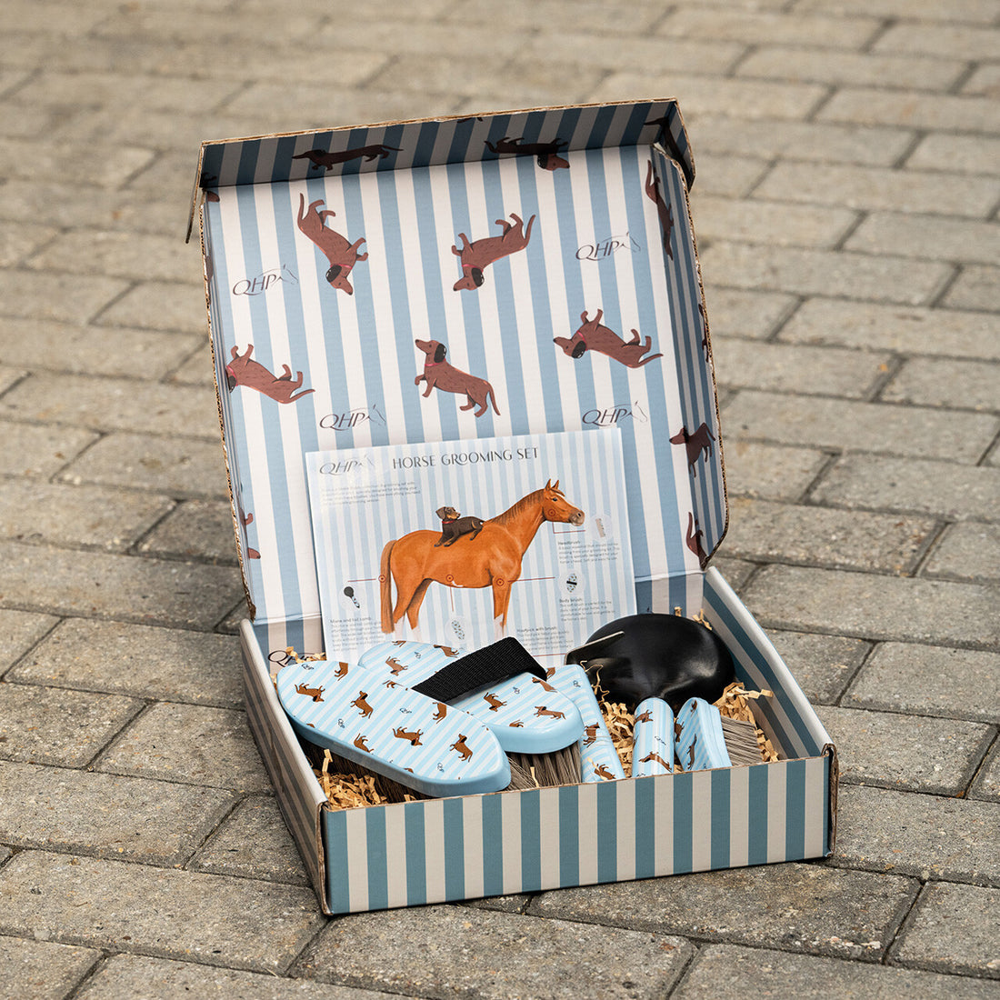 Coffre pansage Teckel - QHP