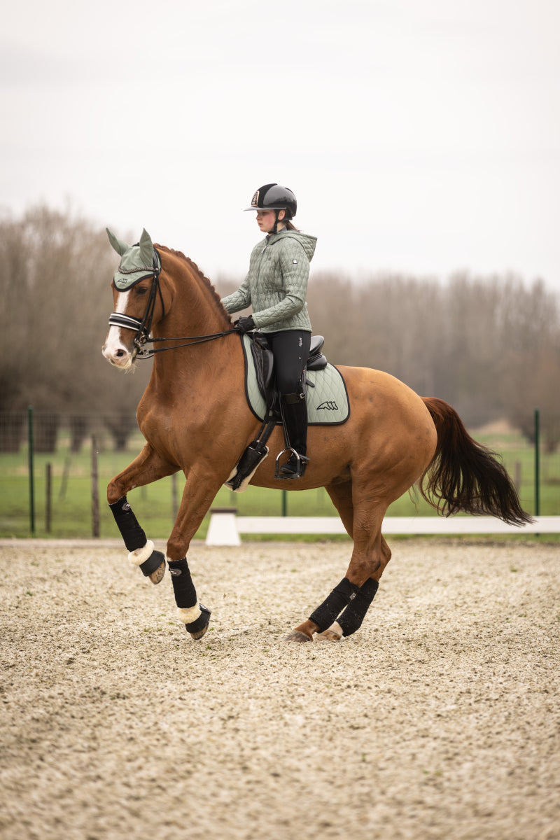 Veste matelassée avec capuche Esabe - EQUILINE