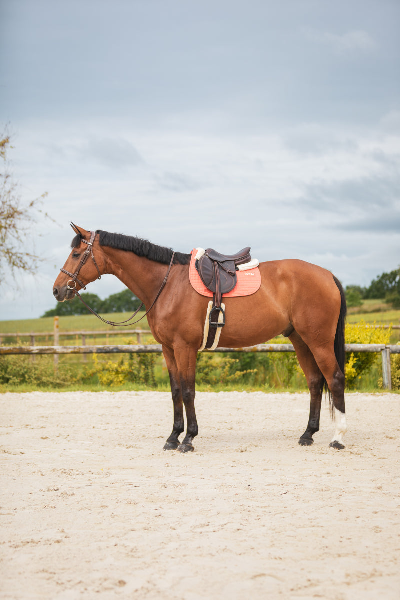 LEO saddle pad - GEM