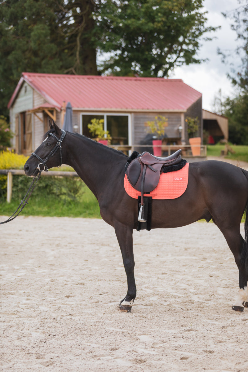 LEO saddle pad - GEM