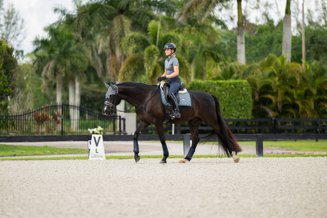 Metallic Blue saddle pad - Equestrian Stockholm