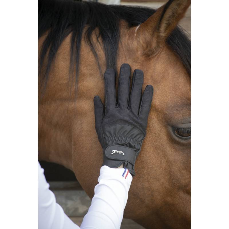 Competition riding gloves - PENELOPE COLLECTION