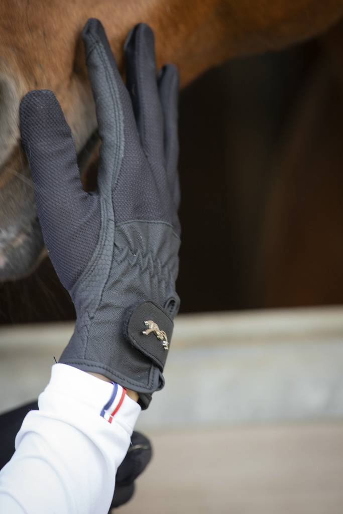 Competition riding gloves - PENELOPE COLLECTION