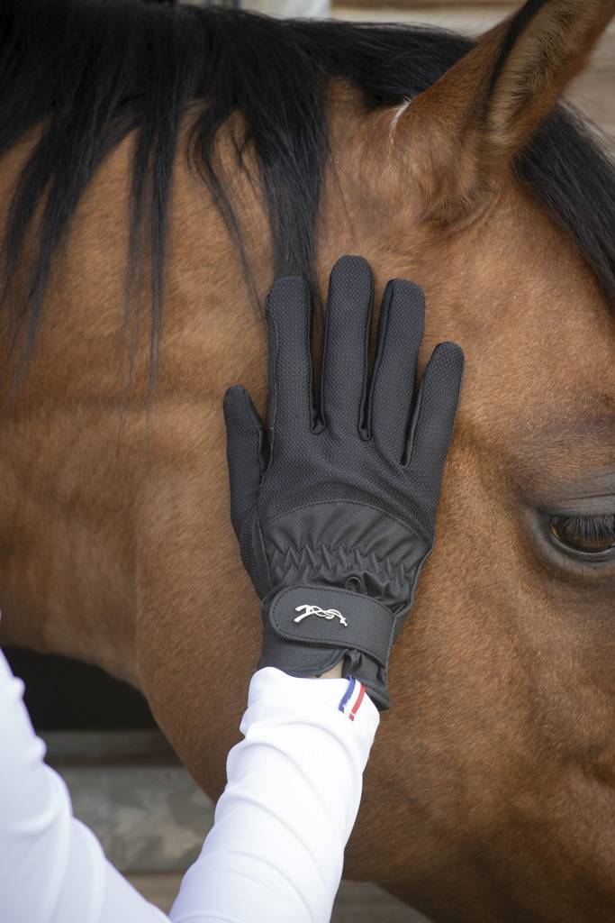 Competition riding gloves - PENELOPE COLLECTION