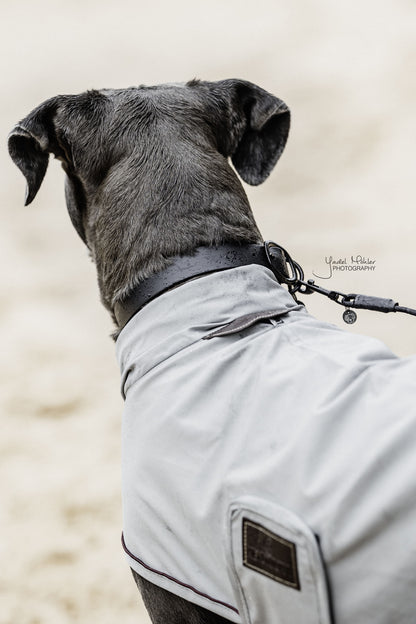 Collier pour chien Soft Rubber - Kentucky