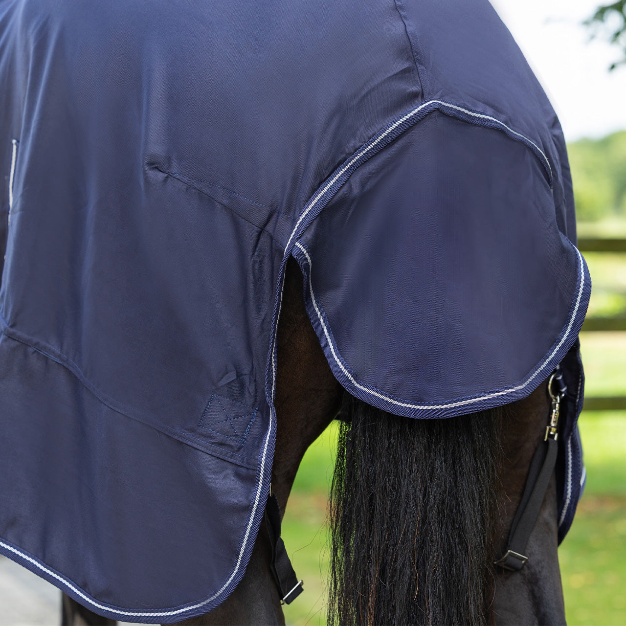 Chemise coton Basic - QHP