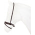 Muserolle suédoise vernie - HORKA