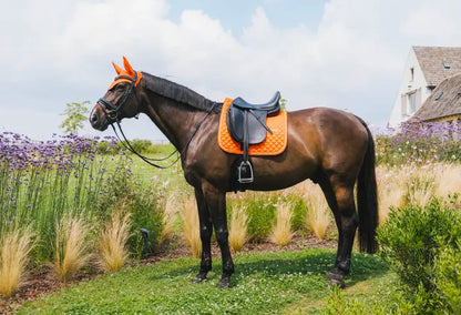 Tapis de selle Diamond DRESSAGE - Kentucky