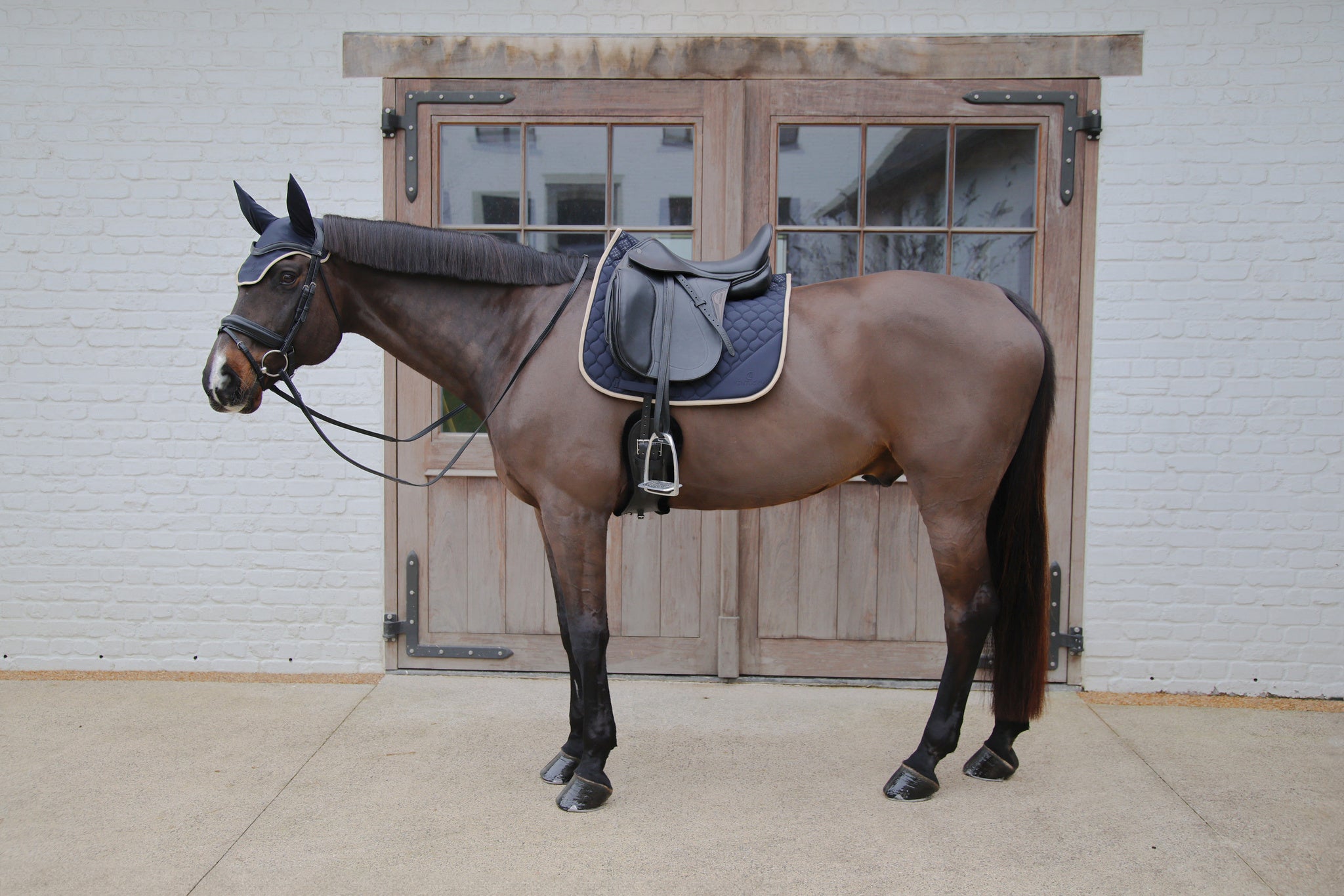 Tapis Softshell Onion Quilt DRESSAGE - Kentucky