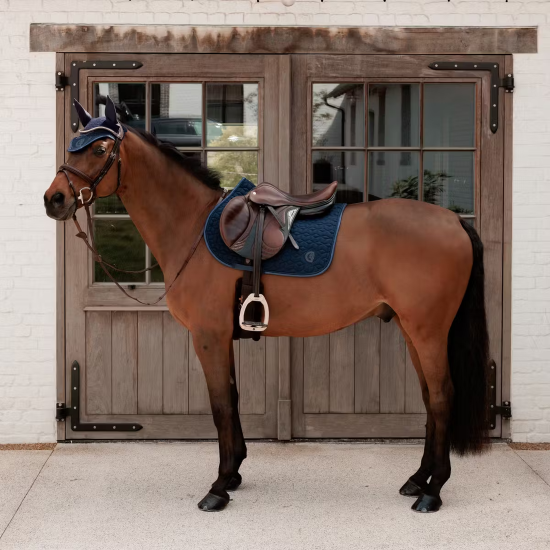 Tapis de selle Sparkling MIXTE - Kentucky