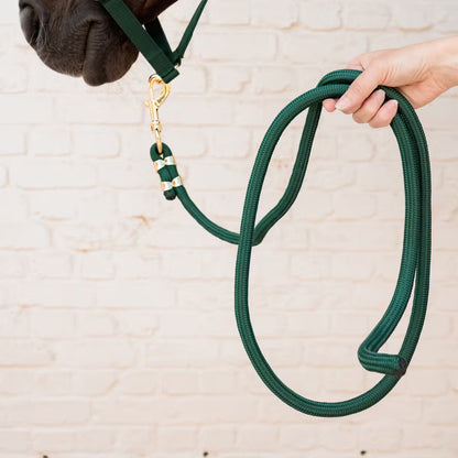 Longe Basic Vert - KENTUCKY