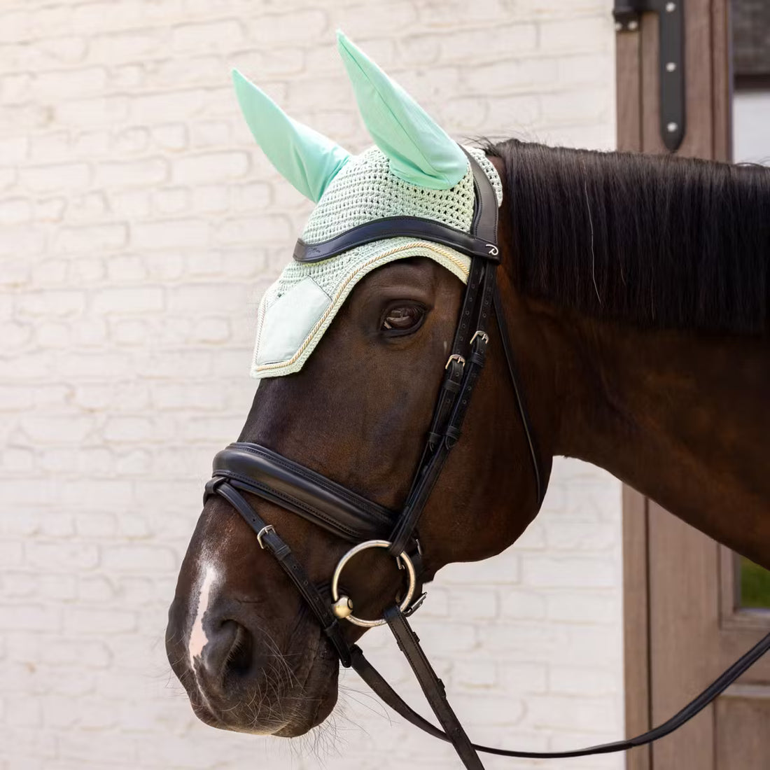 Bonnet anti-mouches Wellington Velvet Menthe - Kentucky