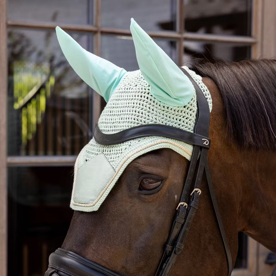 Bonnet anti-mouches Wellington Velvet Menthe - Kentucky