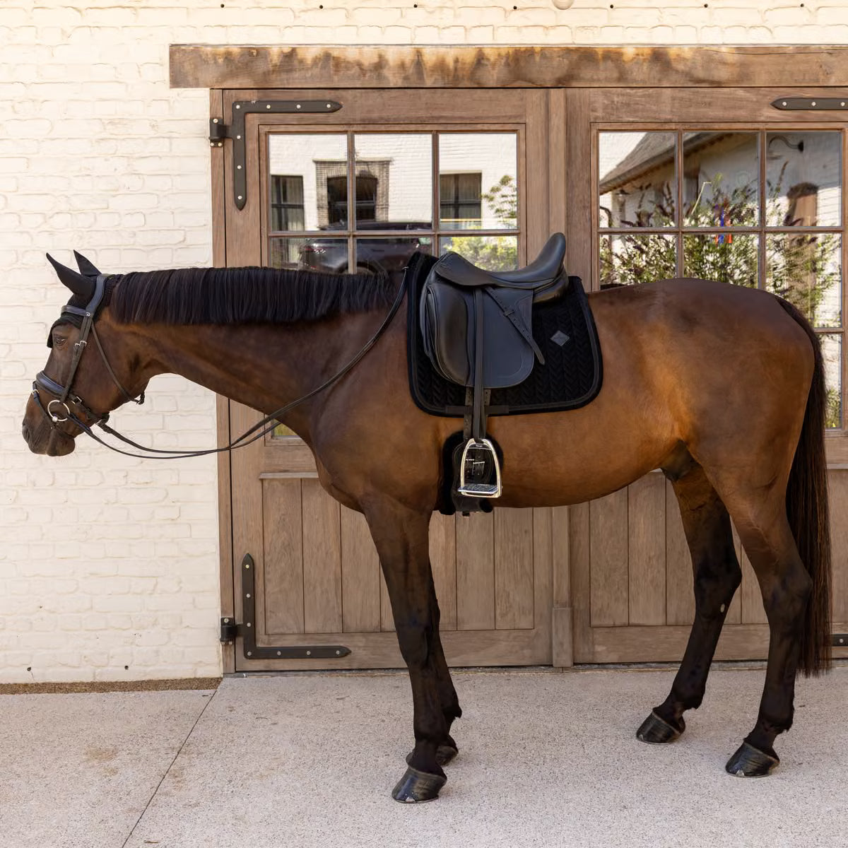 Tapis Velvet Mini Pearl Dressage Noir - KENTUCKY