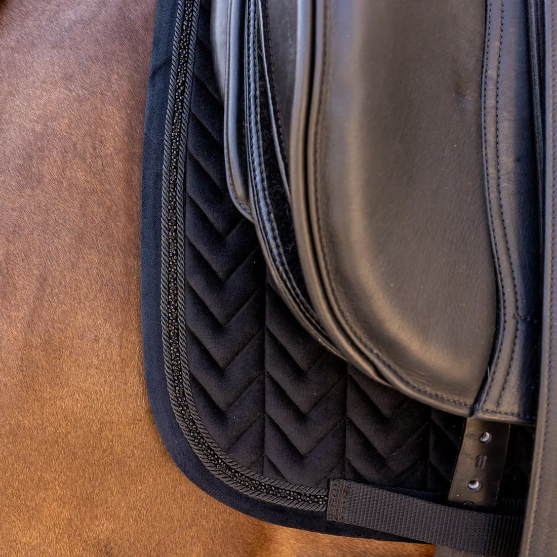 Tapis Velvet Mini Pearl Dressage Noir - KENTUCKY