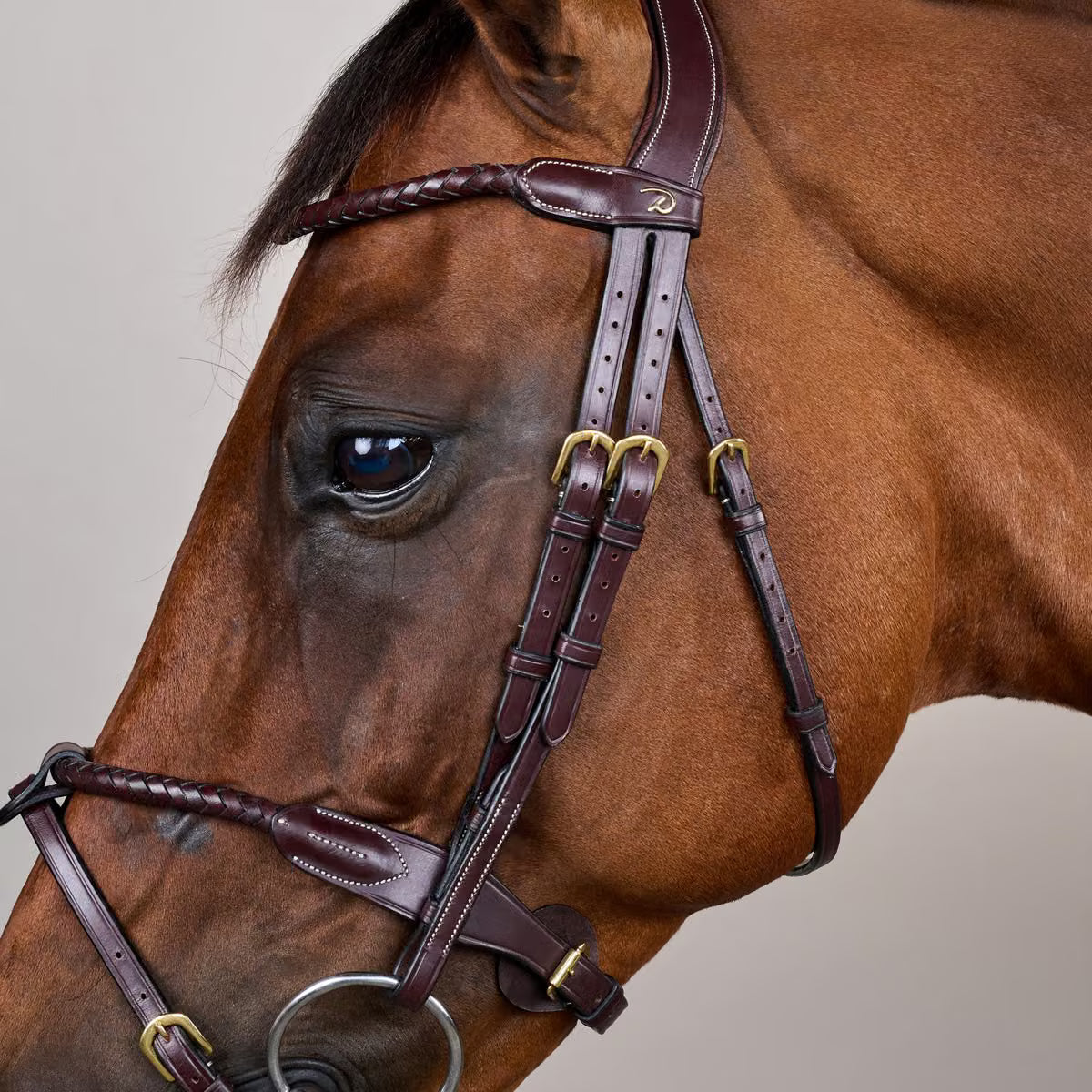 Round braided combined noseband bridle - Dy&
