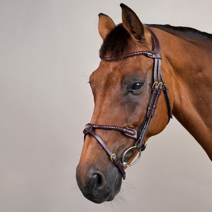 Round braided combined noseband bridle - Dy&