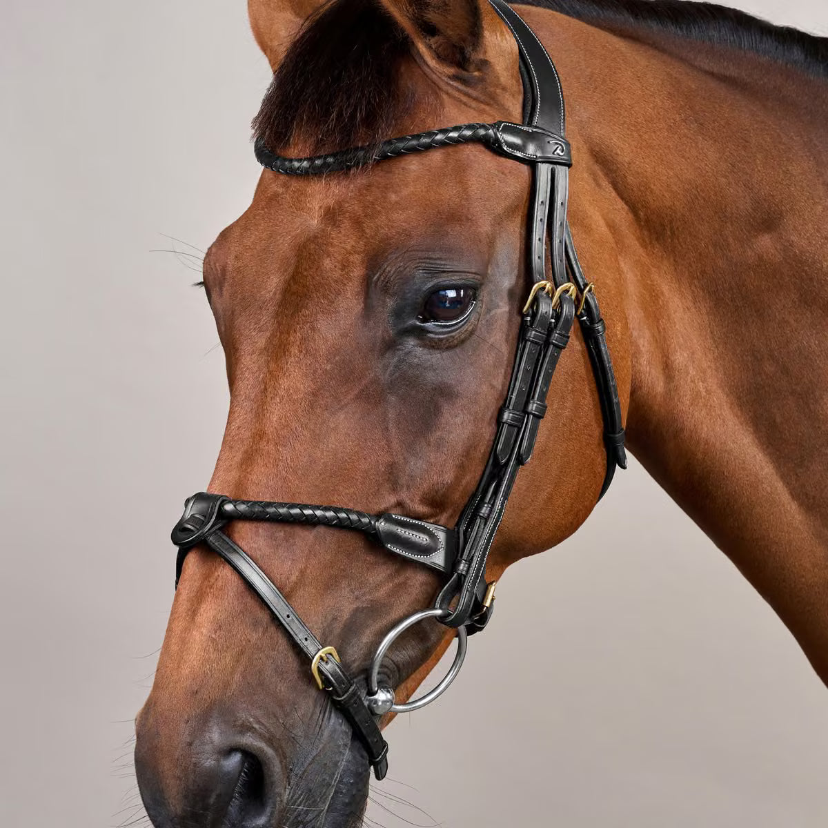 Round braided combined noseband bridle - Dy&