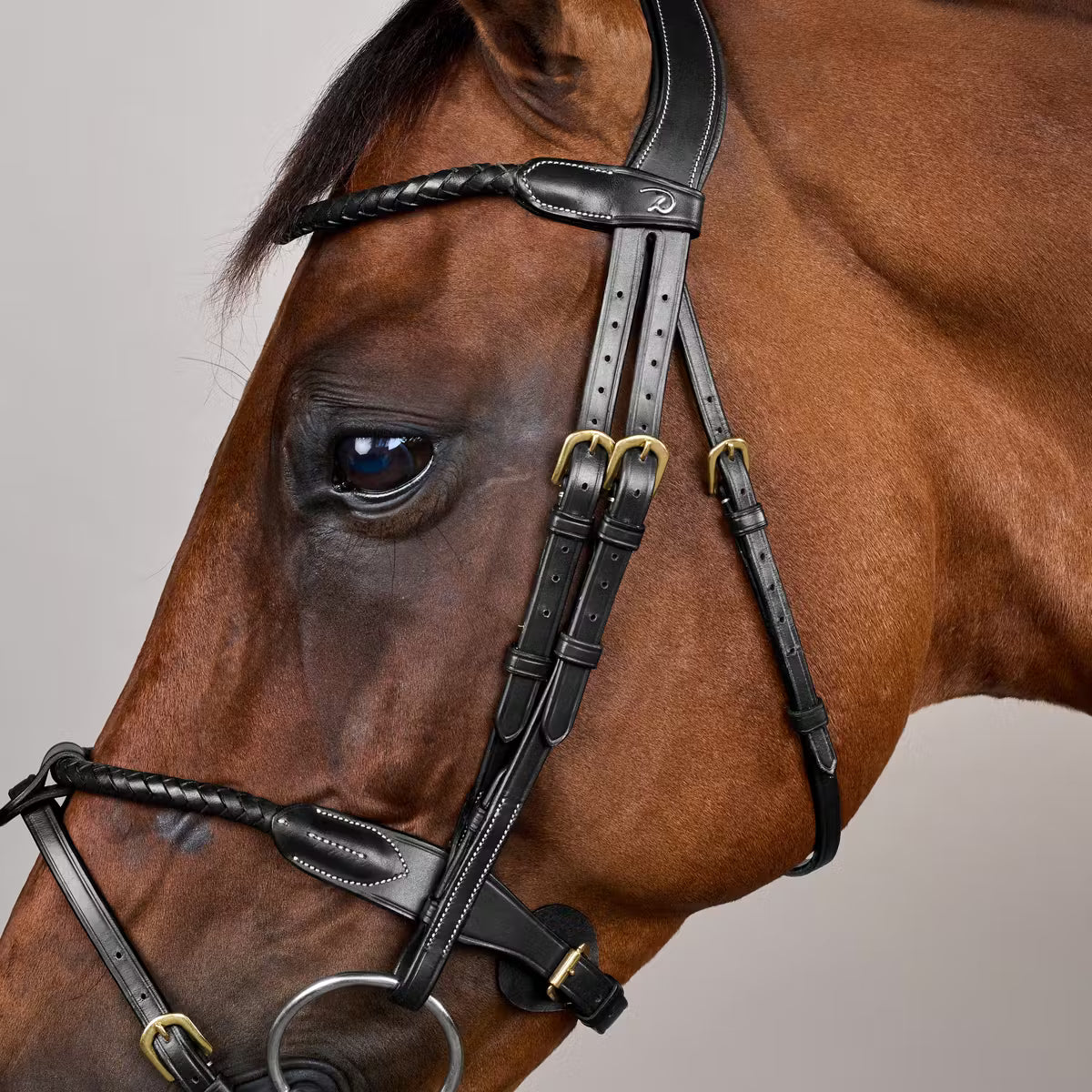 Round braided combined noseband bridle - Dy&