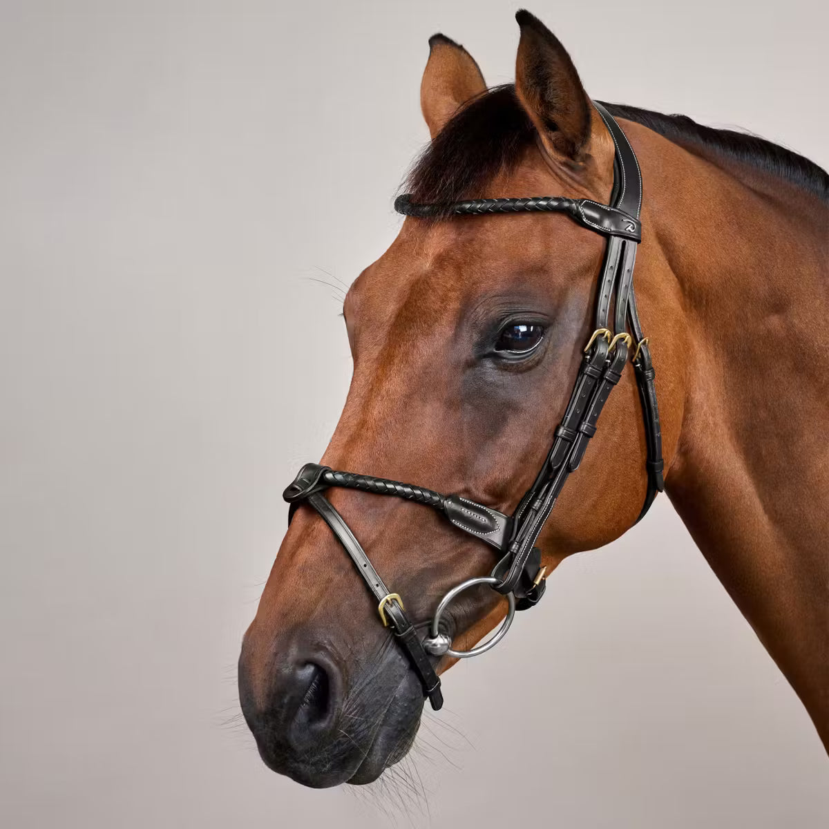 Round braided combined noseband bridle - Dy&