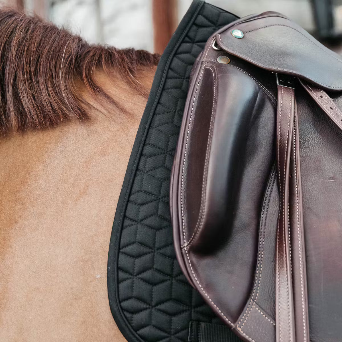 Classic saddle pad - Kentucky