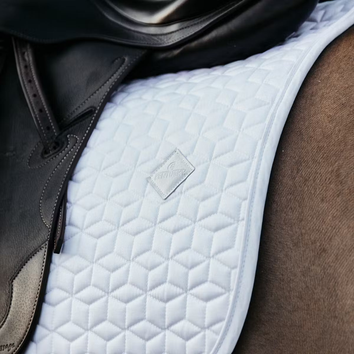 Classic saddle pad - Kentucky