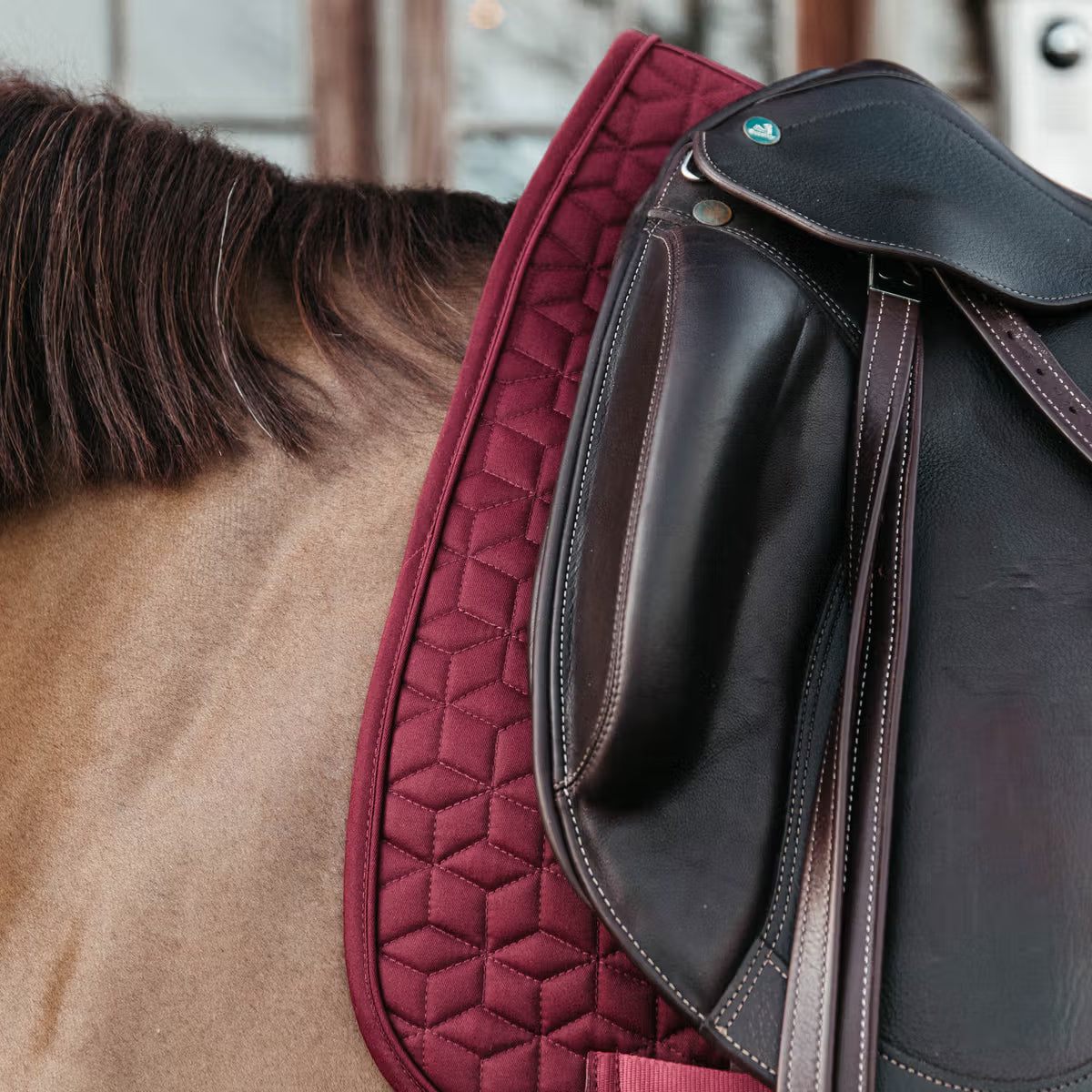 Classic saddle pad - Kentucky