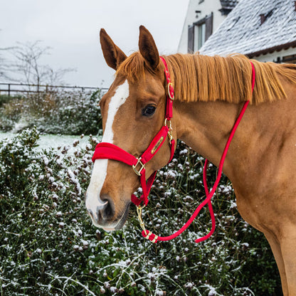 Longe Basic Rouge - Kentucky