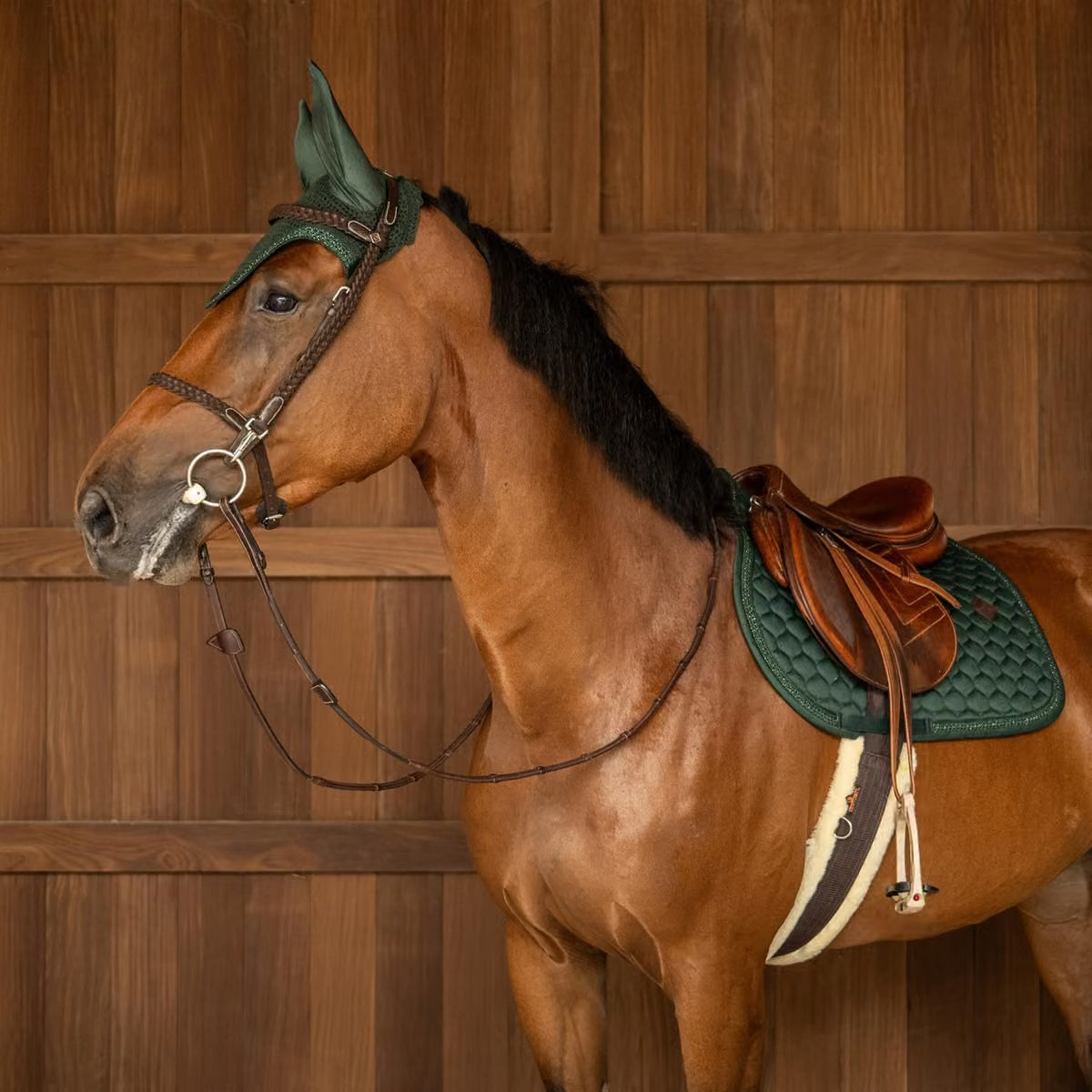 Tapis de selle Classic Onion pailleté MIXTE - Kentucky